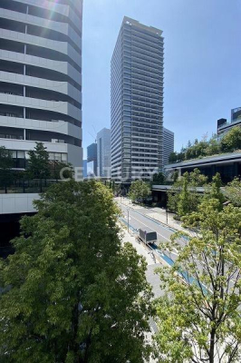 �����s�`��C��1���� 6-1�̒��Ã}���V�����̂��̑����n