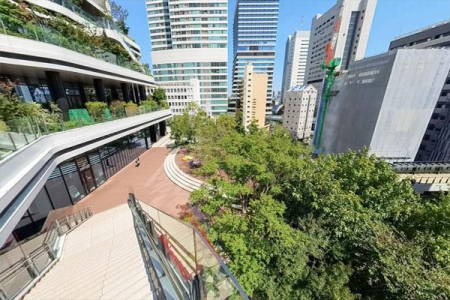 �����s�`��C��1���� 6-1�̒��Ã}���V�����̎��ӊ�