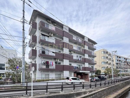 �����s���c�J��ʐ�2���� 28-25�̒��Ã}���V�����̌��n�O�ώʐ^