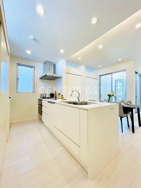 �����s�ڍ��敽��2���ڂ̒��È�ˌ��ẴL�b�`��