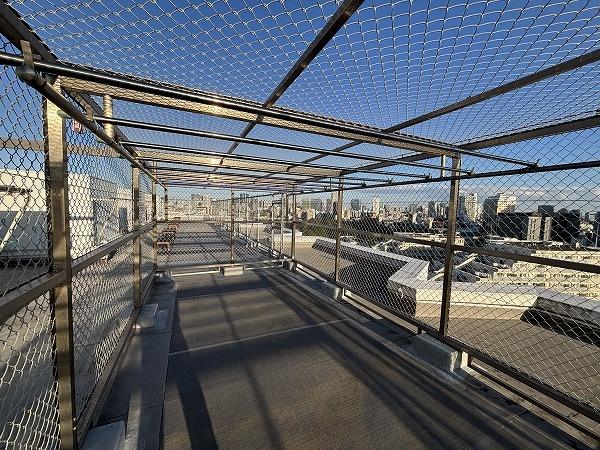 �����s�i������2���� 10-45�̒��Ã}���V�����̂��̑�