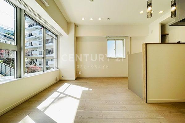 �����s�`�捂��2���� 12-41�̒��Ã}���V�����̃��r���O