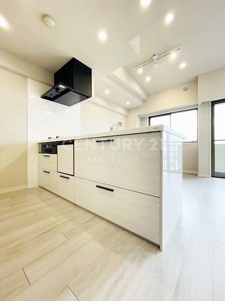 �_�ސ쌧���l�s�ߌ���ߌ�����3���� 15-42�̒��Ã}���V�����̃L�b�`��