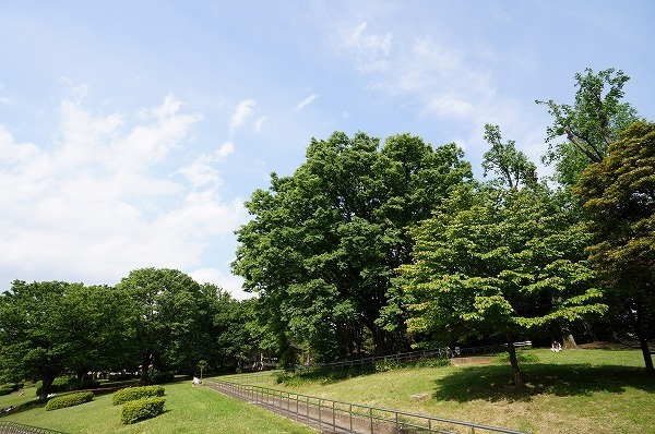 �����s�a�J���X��5���� 21-12�̒��Ã}���V�����̎��ӊ�