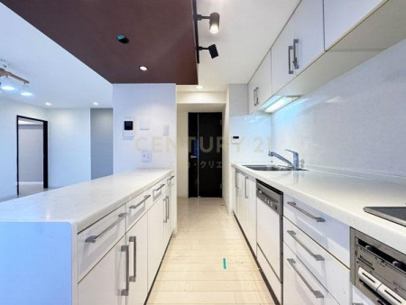 �����s�ڍ��撆�ڍ�1���� 4-18�̒��Ã}���V�����̃L�b�`��