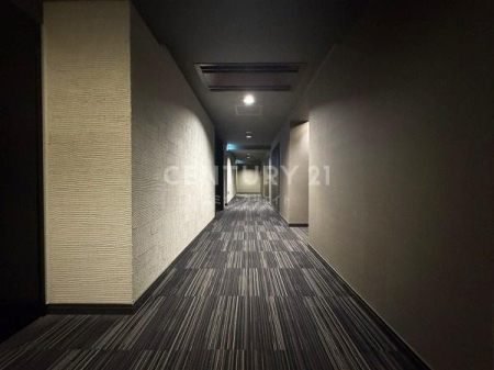 �����s�a�J���X��4���� 51-7�̒��Ã}���V�����̂��̑����p��