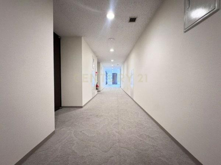 �����s�a�J��a�J1���� 20-17�̒��Ã}���V�����̂��̑����p��