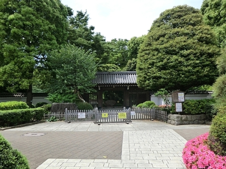 �����s�i��搼�ܔ��c6���� 25-1�̒��Ã}���V�����̎��ӊ�