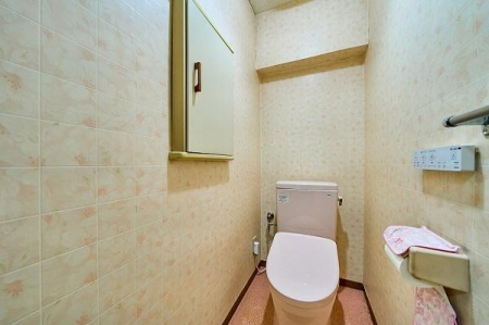 �����s�i��搼�ܔ��c6���� 25-1�̒��Ã}���V�����̃g�C��