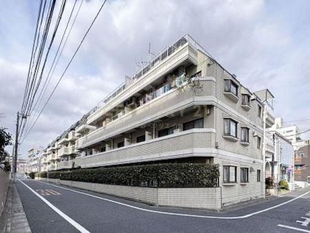 �����s���c�J��{��3���� 38-4�̒��Ã}���V�����̂��̑����n