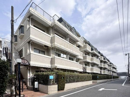 �����s���c�J��{��3���� 38-4�̒��Ã}���V�����̂��̑����n