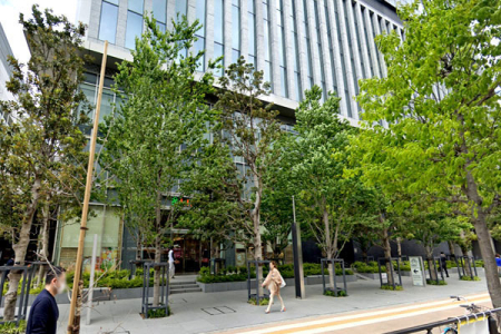 �����s�`��C��2���� 5-1�̒��Ã}���V�����̎��ӊ�