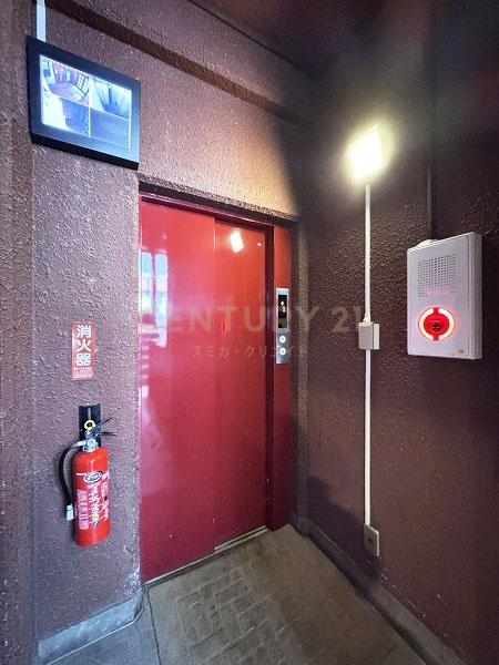 �����s�i��搼�ܔ��c7���� 24-1�̒��Ã}���V�����̂��̑����p��