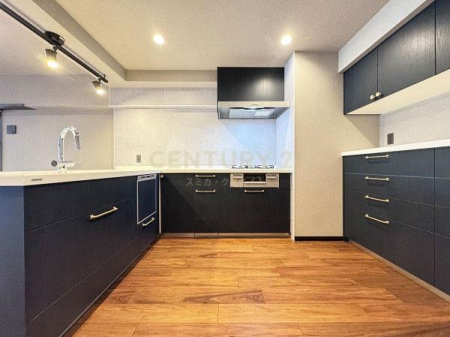 �����s�i��搼�ܔ��c7���� 24-1�̒��Ã}���V�����̃L�b�`��