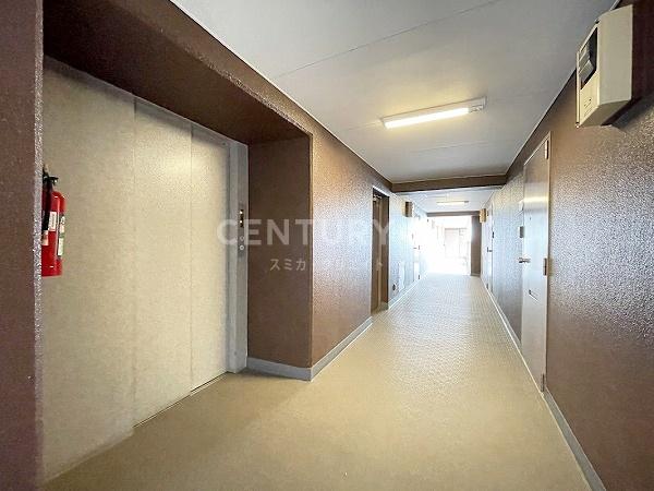 �����s�i��搼�ܔ��c4���� 27-9�̒��Ã}���V�����̂��̑����p��