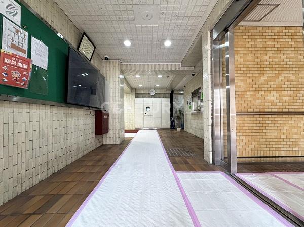 �����s�i��擌�i��1���� 28-11�̒��Ã}���V�����̂��̑����p��