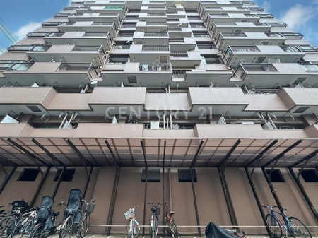 �����s�i�����1���� 17-5�̒��Ã}���V�����̌��n�O�ώʐ^