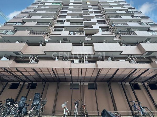 �����s�i�����1���� 17-5�̒��Ã}���V�����̌��n�O�ώʐ^