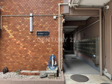 �����s�i�����1���� 17-5�̒��Ã}���V�����̃G���g�����X