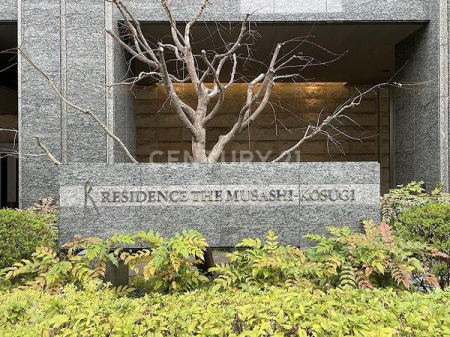 �_�ސ쌧���s������V�ێq��3���� 1111-1�̒��Ã}���V�����̂��̑�