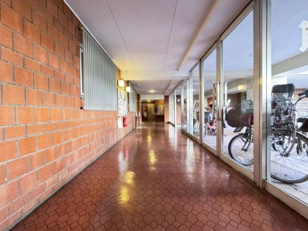 �����s���c�J��r�K4���� 27-32�̒��Ã}���V�����̃G���g�����X