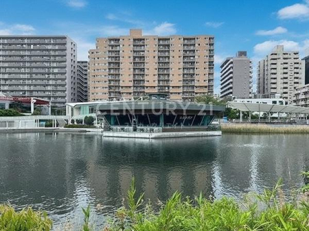 �����s�i������2���� 12-10�̒��Ã}���V�����̌��n�O�ώʐ^