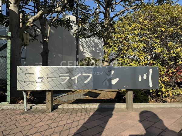 �����s�i��擌�i��1���� 39-2�̒��Ã}���V�����̂��̑�