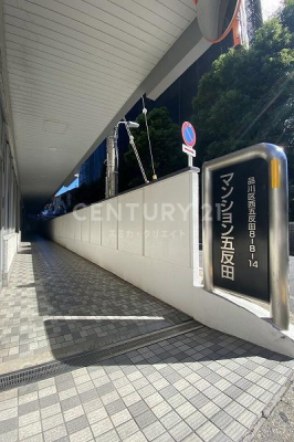 �����s�i��搼�ܔ��c8���� 8-14�̒��Ã}���V�����̃G���g�����X