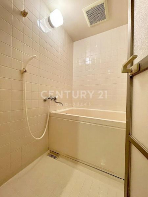 �����s�i���k�i��1���� 30-9�̒��Ã}���V�����̗���