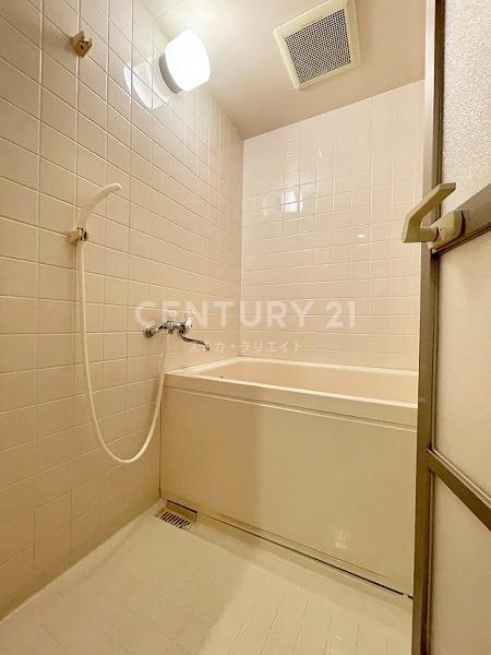 �����s�i���k�i��1���� 30-9�̒��Ã}���V�����̗���