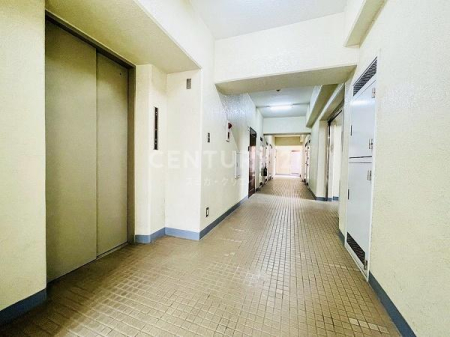 �����s�i���k�i��1���� 30-9�̒��Ã}���V�����̂��̑����p��