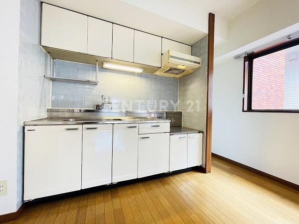 �����s�i���k�i��1���� 30-9�̒��Ã}���V�����̃L�b�`��