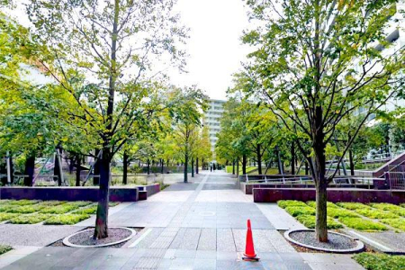 �����s�i���k�i��1���� 30-9�̒��Ã}���V�����̎��ӊ�