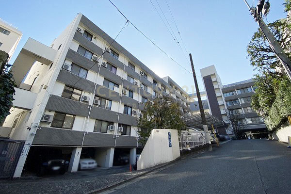 ニュー赤坂コーポラス 建物外観(2020.11撮影)