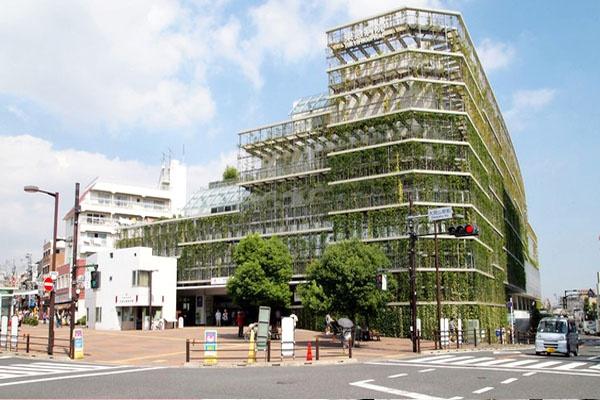 �����s��c��k�瑩3���� 33-4�̒��Ã}���V�����̎��ӊ�