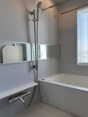 �����s�`�捂��3���� 11-8�̒��Ã}���V�����̗���