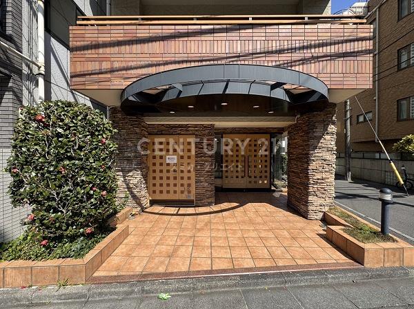 �����s�a�J���X��1���� 6-8�̒��Ã}���V�����̃G���g�����X