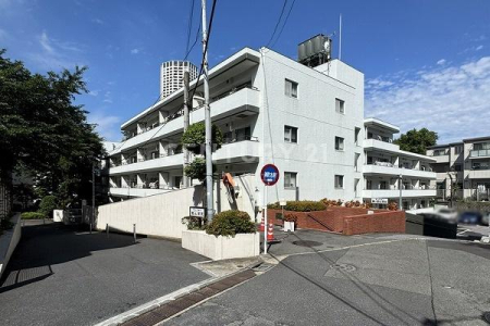 �����s�ڍ��撆�ڍ�1���� 1-17�̒��Ã}���V�����̌��n�O�ώʐ^