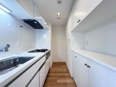 �����s���c�J�摾�q��3���� 22-6�̒��Ã}���V�����̃L�b�`��