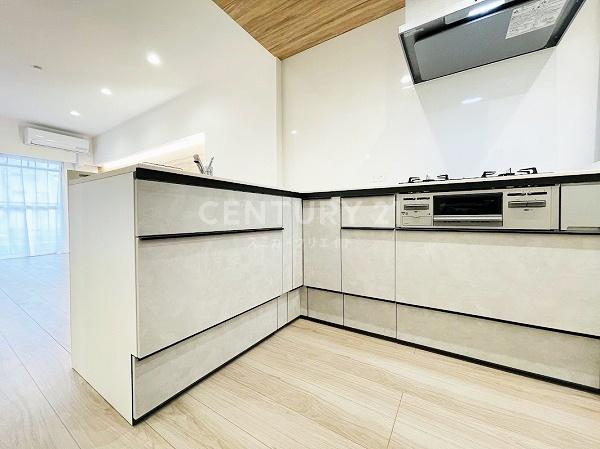 �����s��c�搼���c8���� 22-3�̒��Ã}���V�����̃L�b�`��