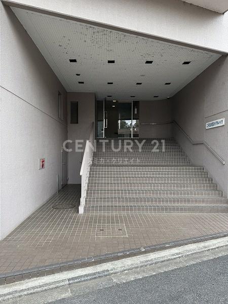 �����s���c�J��ʐ�3���� 3-14�̒��Ã}���V�����̃G���g�����X