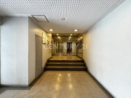 �����s���c�J��ʐ�3���� 3-14�̒��Ã}���V�����̃G���g�����X