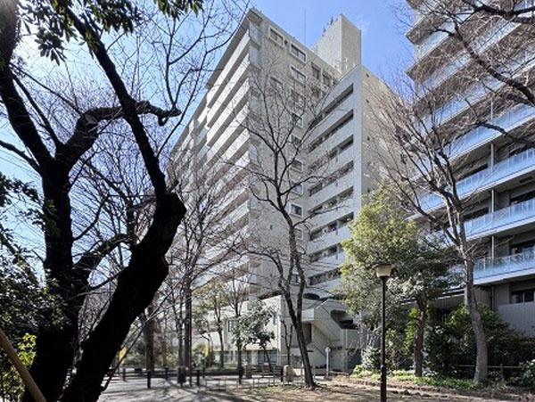 �����s�a�J�揉��1���� 49-3�̒��Ã}���V�����̂��̑����n