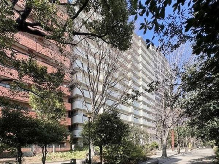 �����s�a�J�揉��1���� 49-3�̒��Ã}���V�����̂��̑����n