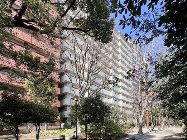 �����s�a�J�揉��1���� 49-3�̒��Ã}���V�����̂��̑����n