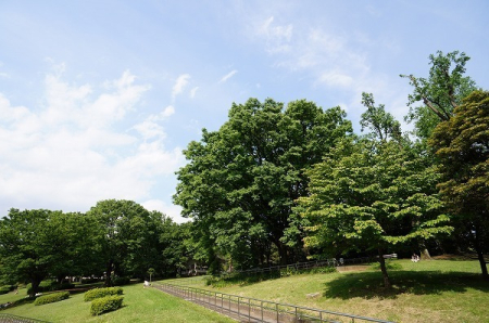 �����s�a�J���X��5���� 37-4�̒��Ã}���V�����̎��ӊ�