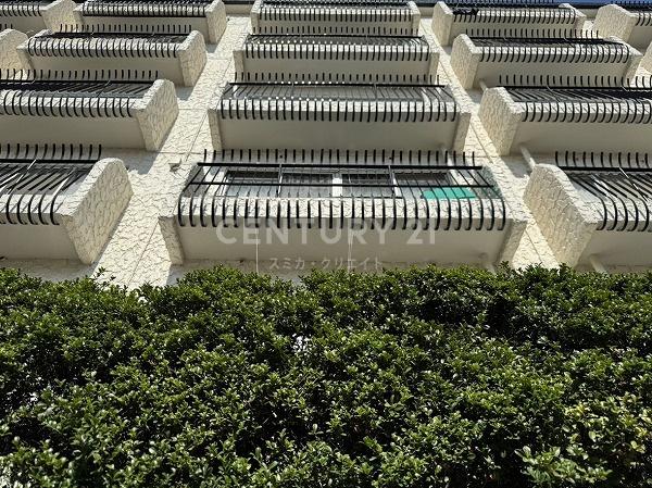 �����s�ڍ���O�c2���� 10-59�̒��Ã}���V�����̌��n�O�ώʐ^