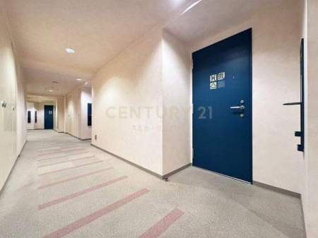 �����s�a�J��b�����2���� 26-1�̒��Ã}���V�����̂��̑����p��