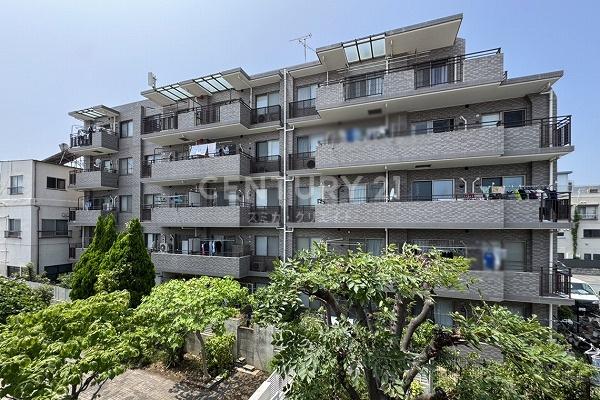 �����s��c���X��5���� 3-5�̒��Ã}���V�����̂��̑����n