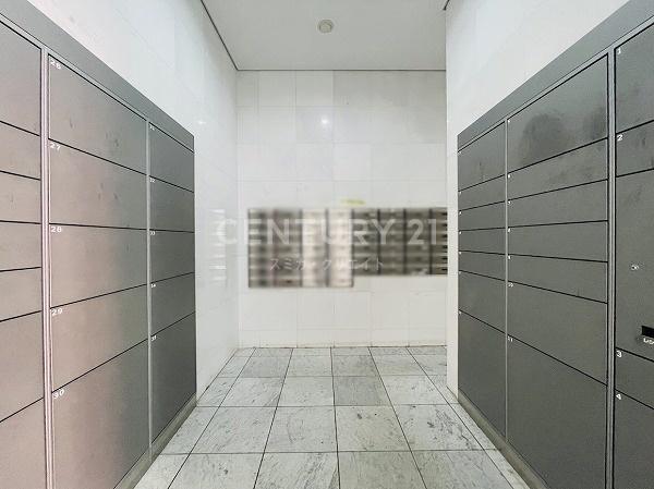 �����s���c�J��匴2���� 27-28�̒��Ã}���V�����̂��̑����p��